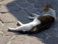 foto 055